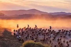 开云网页版登录入口-劲敌对决，球场火爆气势磅礴，胜负犹待揭晓()