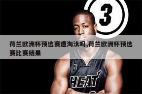 荷兰队惨遭淘汰，未能晋级欧洲杯()