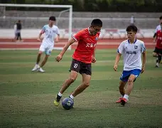 开云官方在线-国内足球联赛赛场紧张，球队实力逐渐浮出水面的简单介绍  第2张