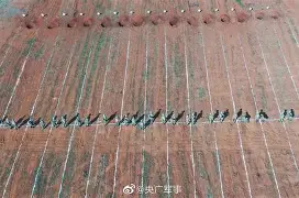 开云体育入口-雄鹿前锋发布最新训练视频训练秘籍曝光()  第2张