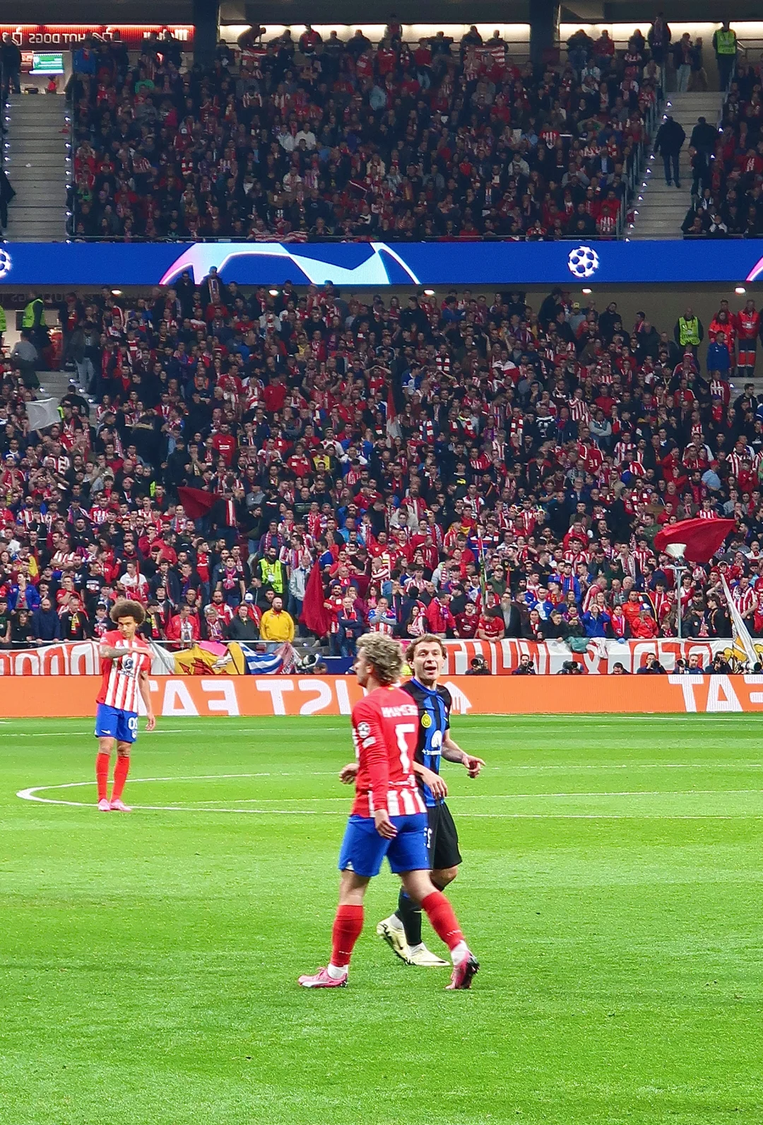 开云-曼城绝杀晋级，成功挺进欧冠半决赛()  第1张