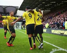 开云sports-沃特福德前锋受伤下场，球队窘境难解()  第2张