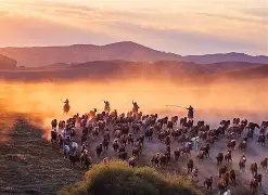 开云网页版登录入口-劲敌对决，球场火爆气势磅礴，胜负犹待揭晓()  第1张