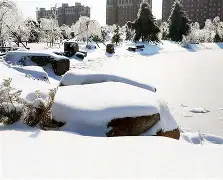 开云体育官网-长春亚泰客场小胜，提振士气迎接接下来挑战()  第2张