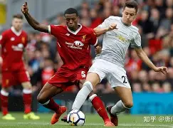 开云网页版登录入口-利物浦主场不敌劲旅，欧冠前景生变！()  第2张